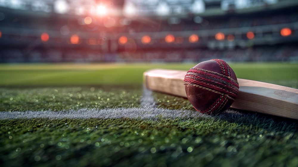 Joc de cricket – Reguli de bază, formate de joc și obiectivul competiției